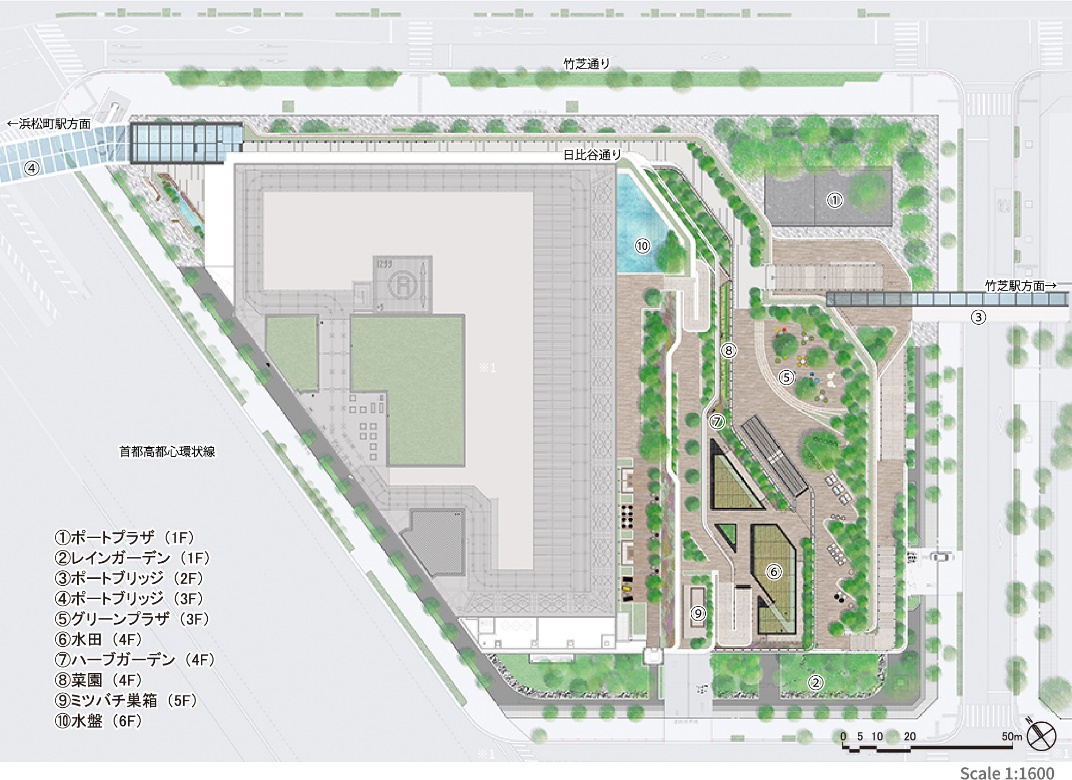 【前編】緑とアクティビティが重層的に繋がるランドスケープ設計事例 （東京ポートシティ竹芝　オフィスタワー ）